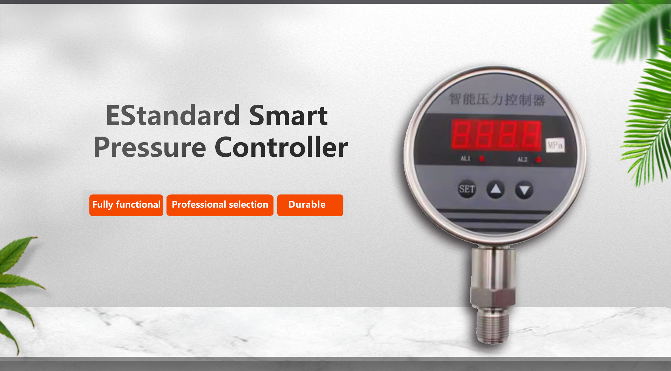 智能压力控制器（标准型）.jpg