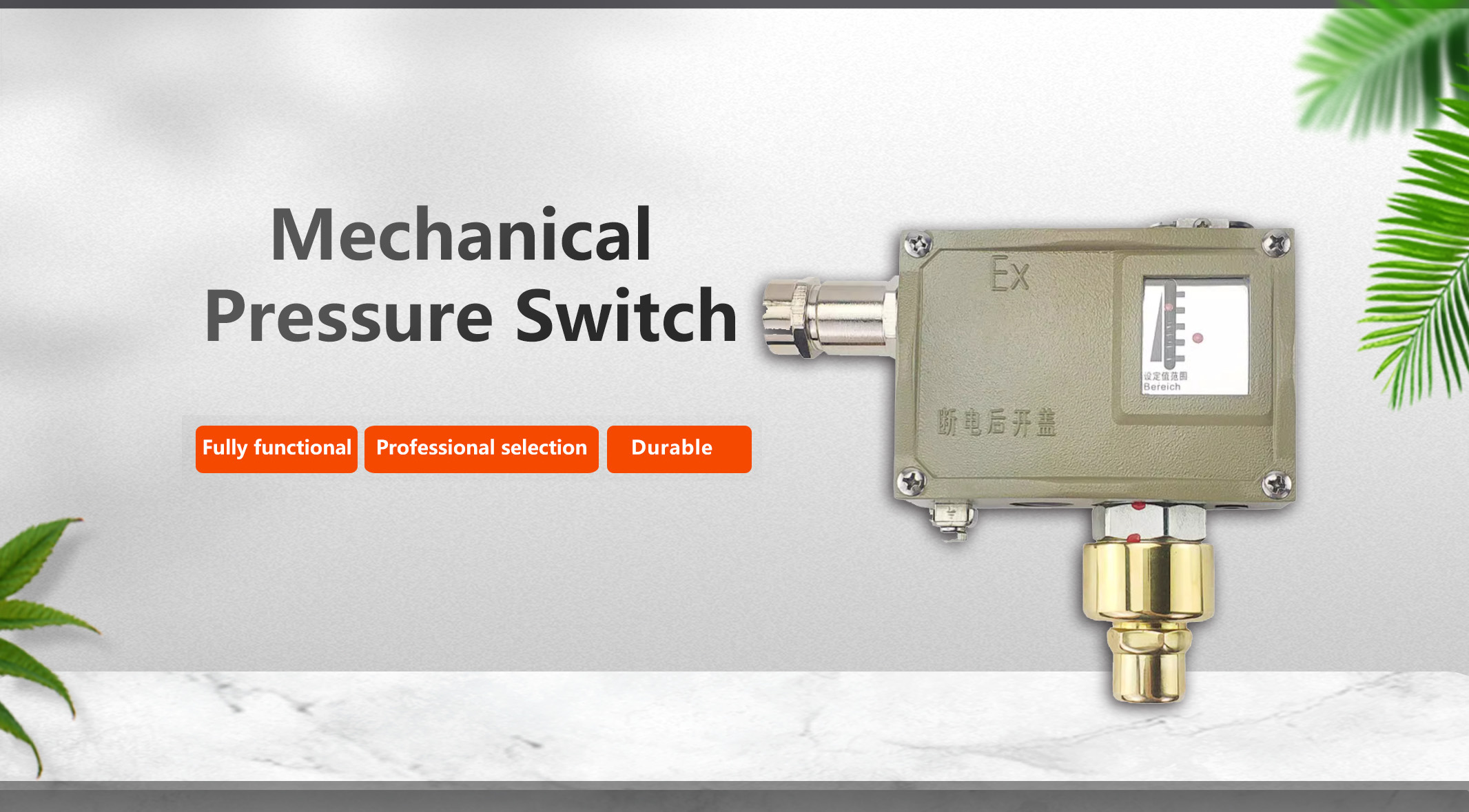 1766737795981662.jpg 机械式压力开关.jpg