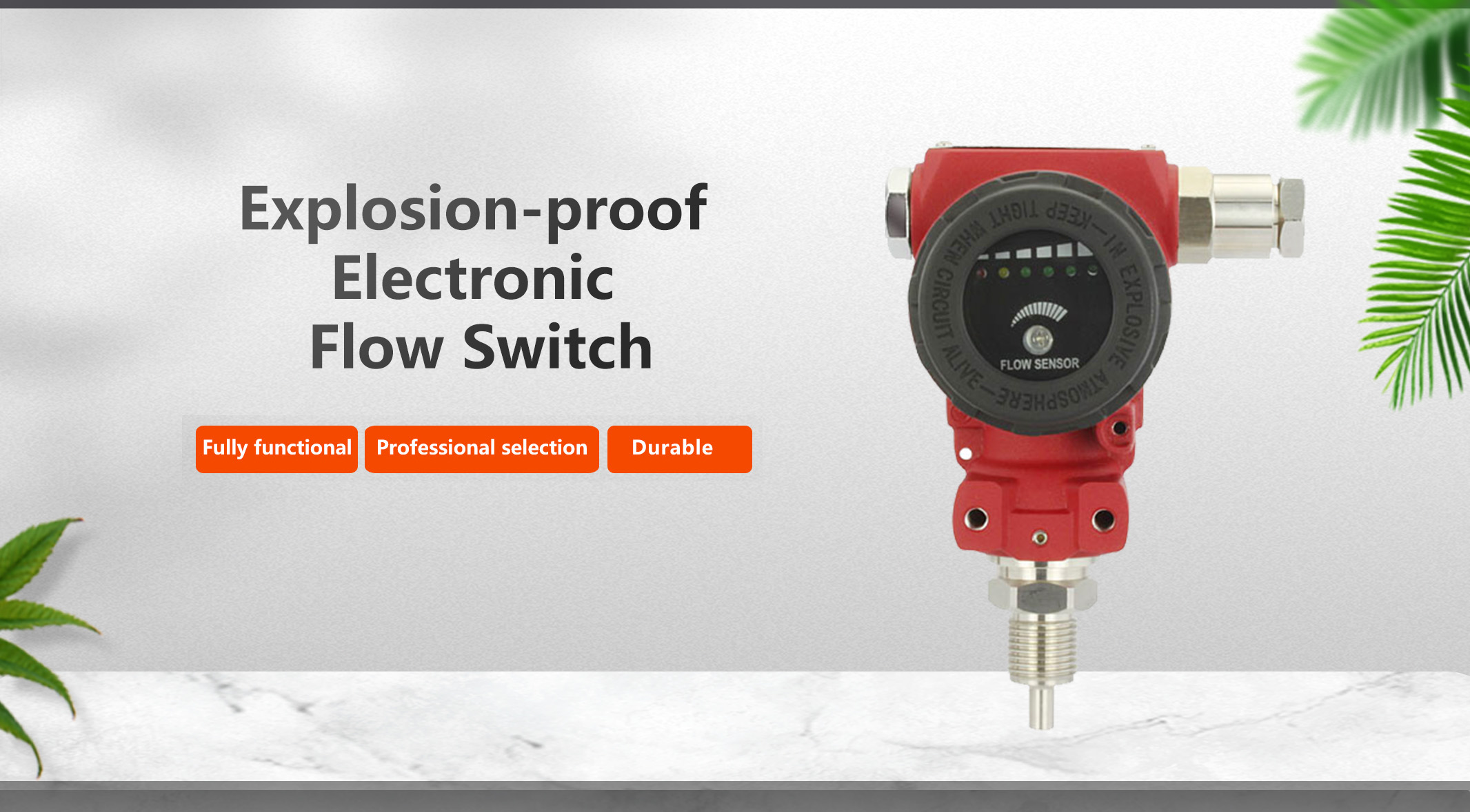 1766742375159520.jpg 电子式流量开关(防爆型).jpg