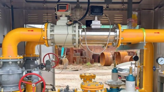 ZINACA Gas Rotary Flow Meter Application in Skid-Mounted Metering Pump Manufacturer